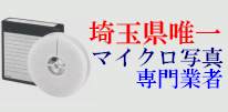 ��ʌ��B��̃}�C�N���ʐ^���Ǝ҂ł�
